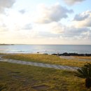 라이트하우스 이미지