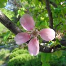 독골농장 이미지