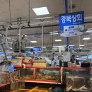 경북상회 티스토리