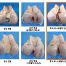 (주)강스템바이오텍 이미지