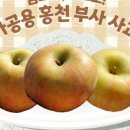 화촌면 산초울로 이미지