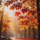 쉬즈산부인과의원 이미지