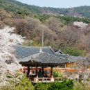 용현계곡입구 주차장 이미지