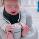 안녕 댕댕아 이미지