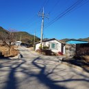 영천(포항) 이미지