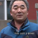 흑산도홍어 이미지