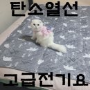 우리의료기 | 한일 의료기 탄소전기요 북극곰 사용 후기 &amp; 꿀잠 세팅법. 냥이도 반한 전기요.