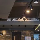 석 동물병원 이미지