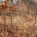 아랫말농장 이미지