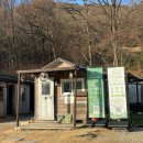 티펜션 | 강화도 분위기 좋은 어반티지 글램핑 카라반 펜션 내돈내산 후기