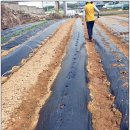 재학농장 이미지