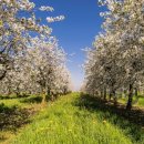 미송농장 이미지