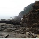 학암포 주차장 이미지