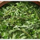 약초 , 산약초,발효 효소 만드는 방법, 이미지