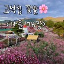 철원 여행: 드라이브 겸 고석정 꽃밭(가을 개장) 다녀온 후기