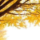 가양한의원 이미지