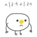 에코쉴드 네이버블로그