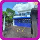 뭉치켄넬 이미지