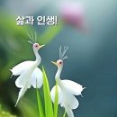 ♤2024년 9월 11일 수요일♧ 이미지