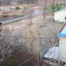 청도강변돌고래펜션 이미지