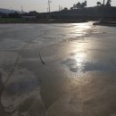 솔골농장 이미지