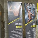 펄슨피티