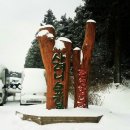 스테이 소로 이미지