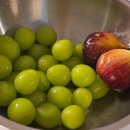 도피오 DOPPIO | [집밥일기 61] 신혼밥상 / 주간밥상 / 2025년 9월 ②