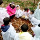 영광유치원 이미지