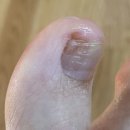 엄지약국 이미지