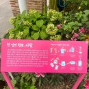 마로가든 이미지