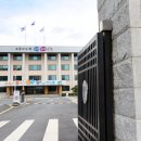 381 대전일보