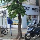 이노티안경 소하점 이미지