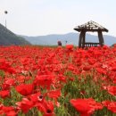 경서대로 이미지