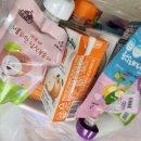 안나 펫 살롱 이미지