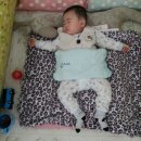 선주 세탁소 이미지