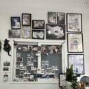 꽃길 걷는 고양이 이미지