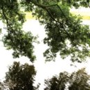 화순베스트요양병원 이미지