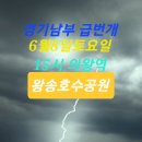 RE:경기남부 급 번개 이미지