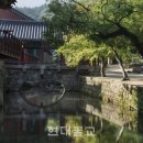 차사랑 이미지
