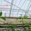 낙수농장 이미지