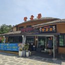 원주 로컬맛집 50년 전통 중화요리 황금룡 짬뽕밥 드디어 먹어보다.