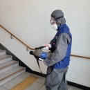 가동초등학교 이미지