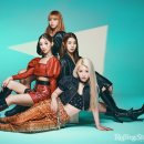 퍼플스톤 - 청주시 서원구 | 퍼플스톤
