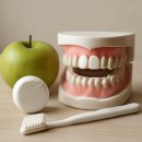 다올치과의원 | 치아 건강 관리 루틴과 첫 치과 방문 후기