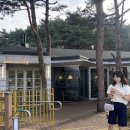 감나무식당 이미지