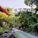 녹천캠핑 이미지