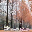 평양호떡 티스토리