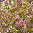 [어린이]핸드메이드 라탄공예 이미지