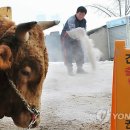 영인목장 이미지